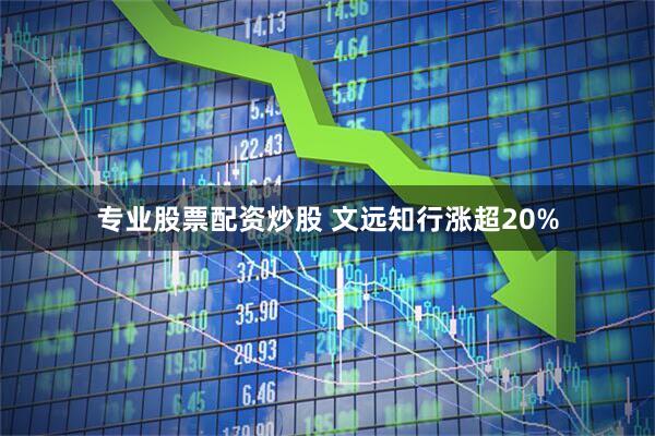 专业股票配资炒股 文远知行涨超20%